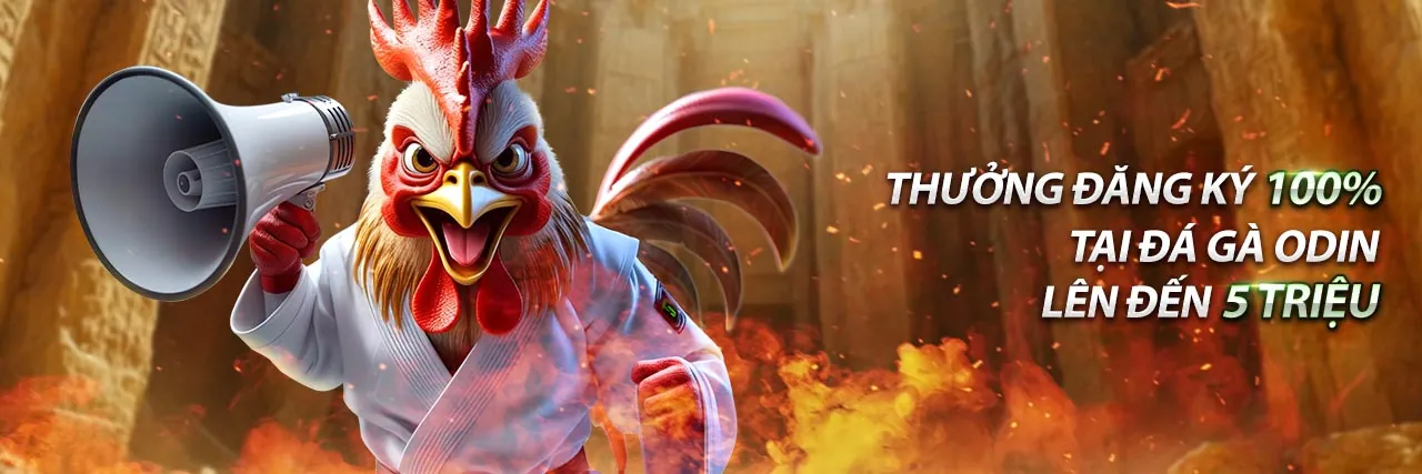 Hình ảnh giới thiệu win55 liên kết đăng ký nhà cái game